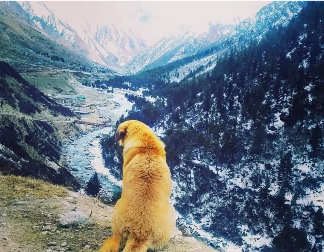 Photo of Chitkul By Shakshi Goyal