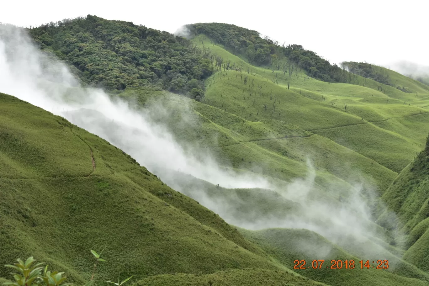 Photo of Dzuko Valley Trail By NORTH EAST SOJOURN TRAVELS