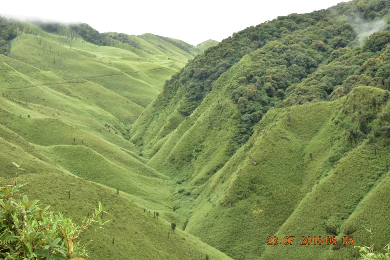 Photo of Dzuko Valley Trail By NORTH EAST SOJOURN TRAVELS
