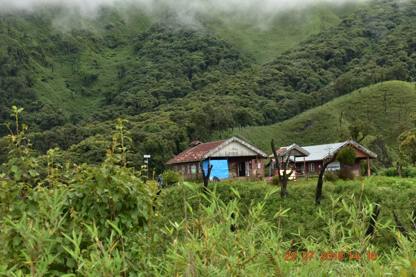 Photo of Dzuko Valley Trail By NORTH EAST SOJOURN TRAVELS