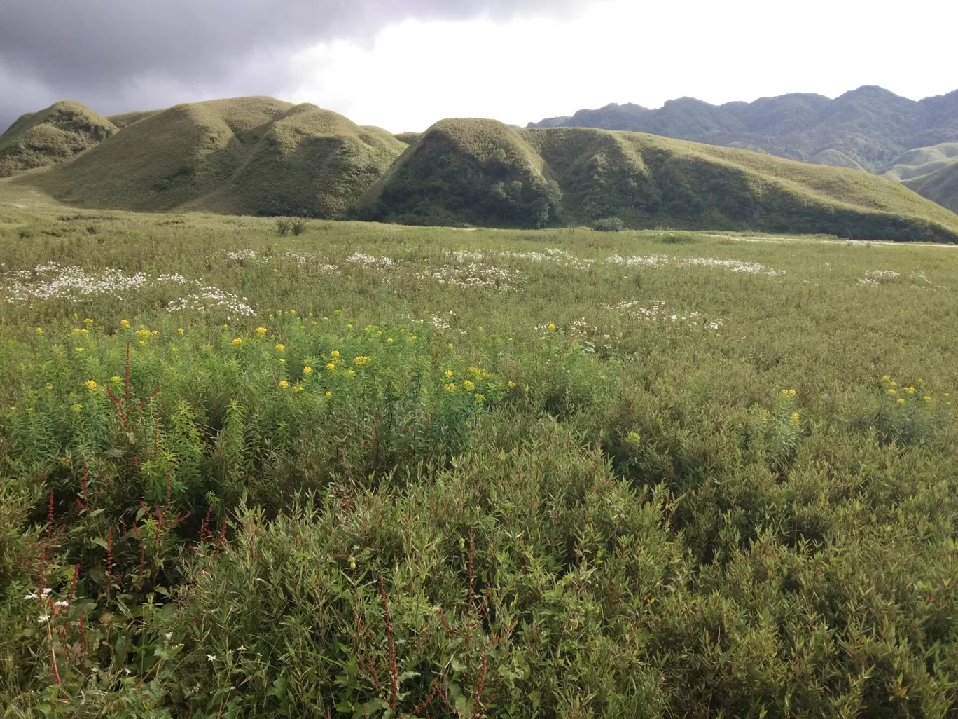 Photo of Dzükou Valley By NORTH EAST SOJOURN TRAVELS