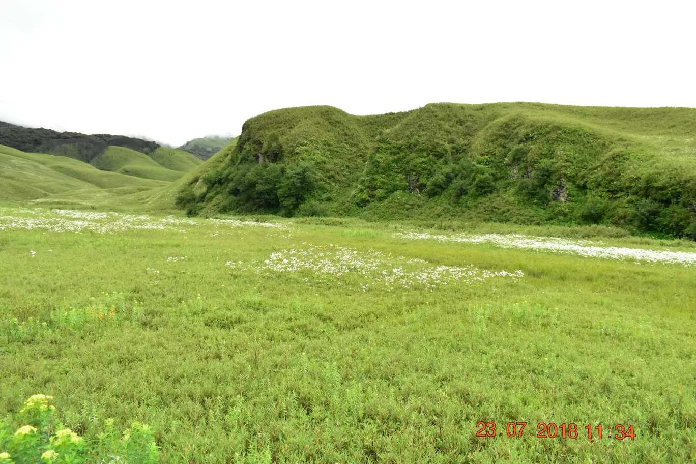 Photo of Dzükou Valley By NORTH EAST SOJOURN TRAVELS