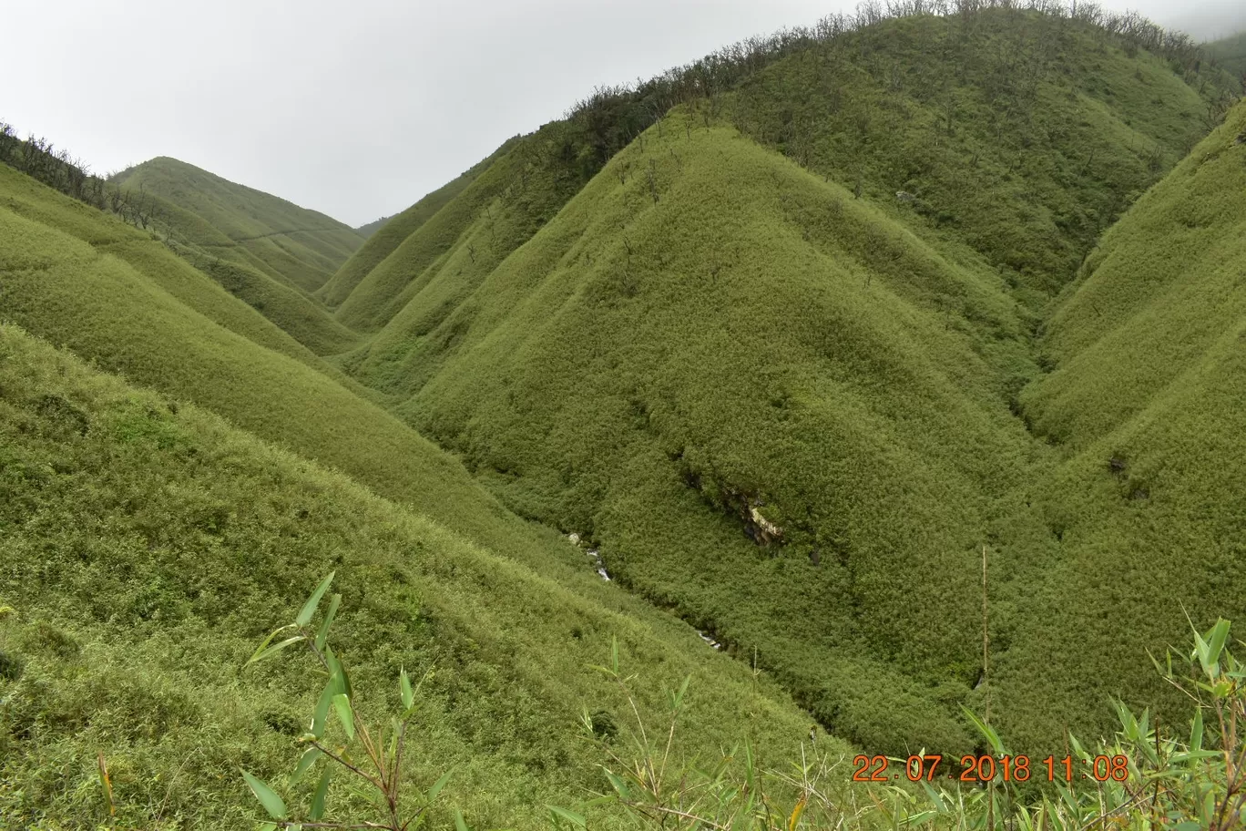 Photo of Dzükou Valley By NORTH EAST SOJOURN TRAVELS