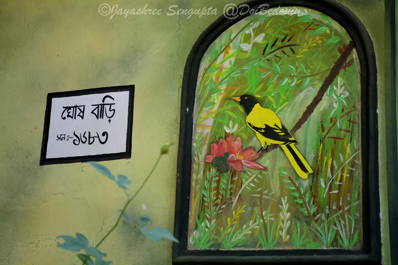 Photo of Baghrol Basa By Jayashree Sengupta