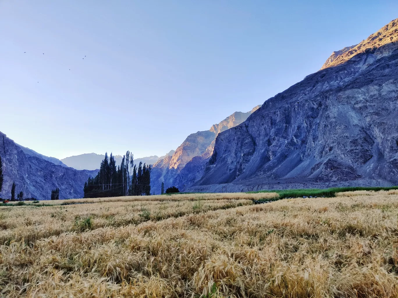 Photo of Turtuk By Mohit Saini