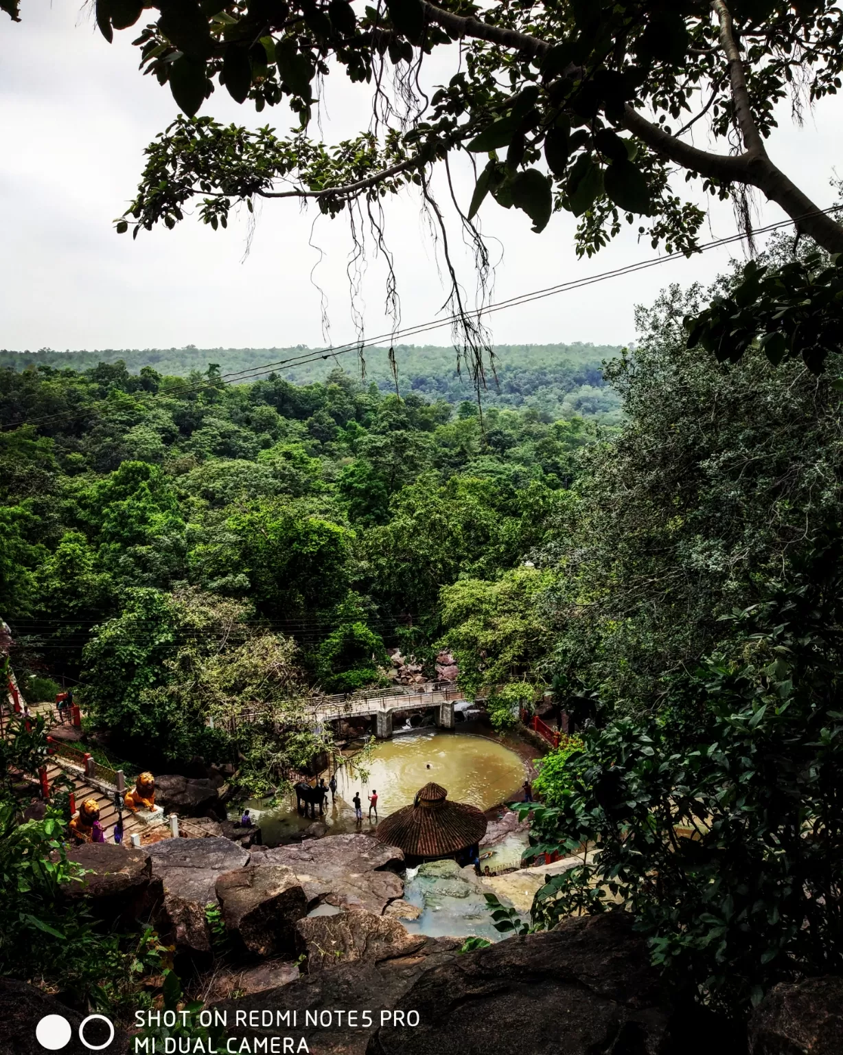 Photo of Ghatarani Waterfall By Kriti Ghai