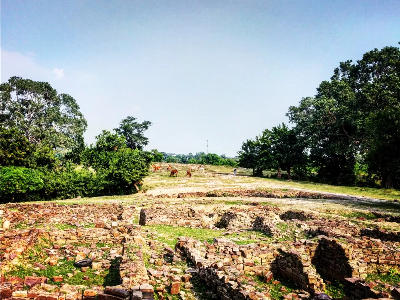Photo of Tarighat By Kriti Ghai
