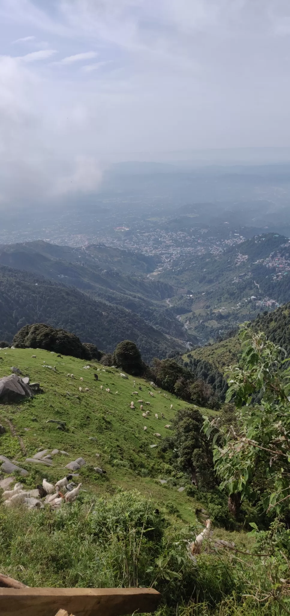 Photo of Triund Trek By Namrata Tirthkar