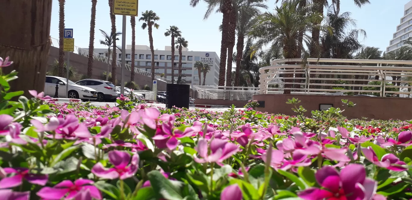 Photo of Eilat By Aniruddh Mali