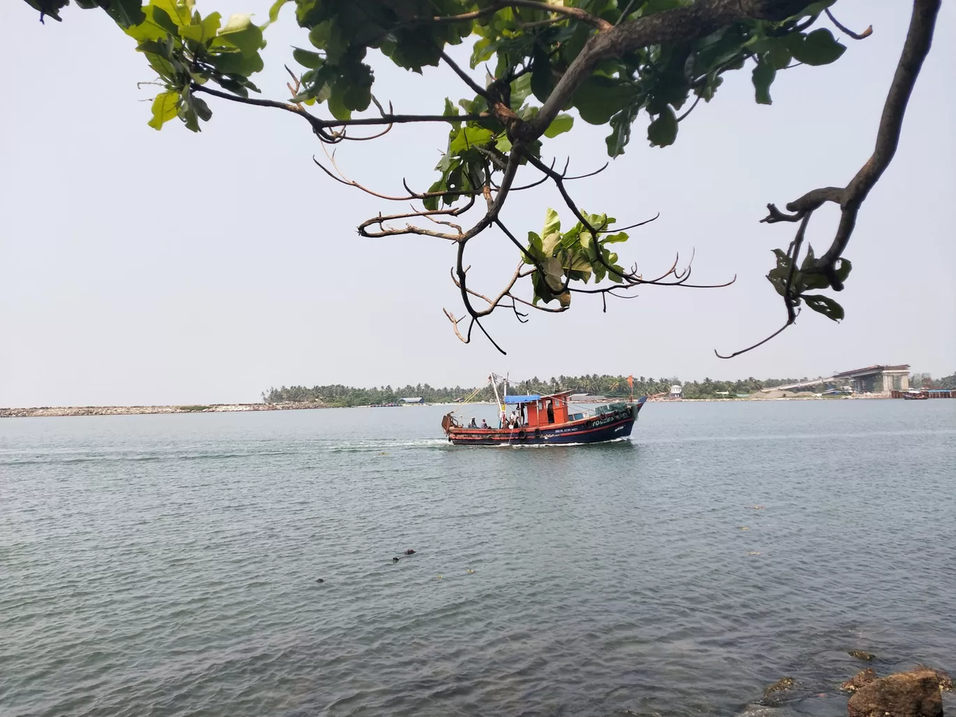 Photo of Alleppey By v921995