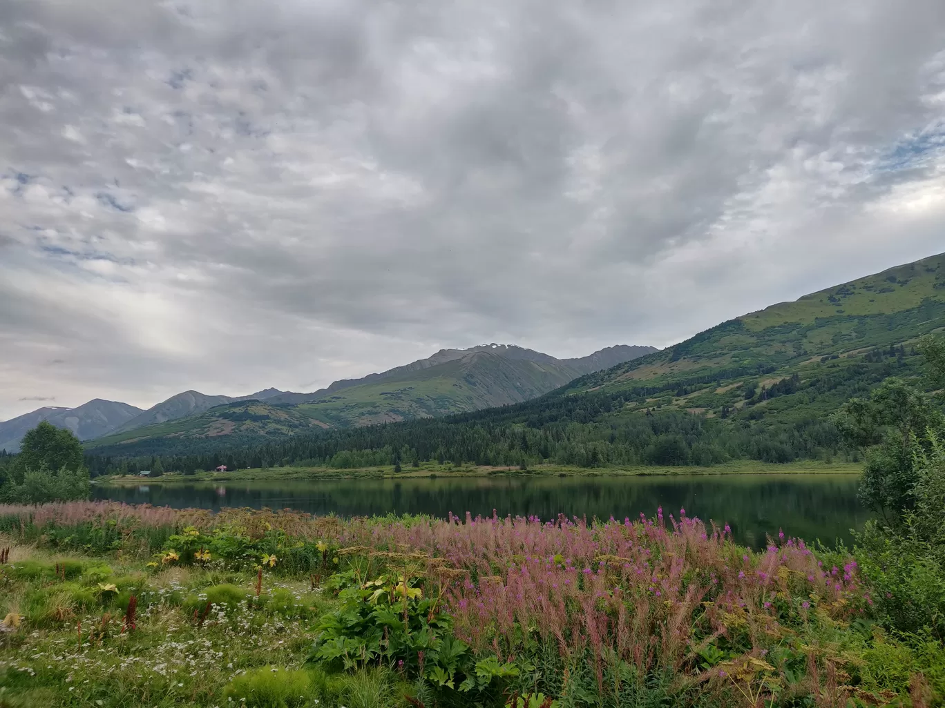 Photo of Seward Highway By Sajan Kedia