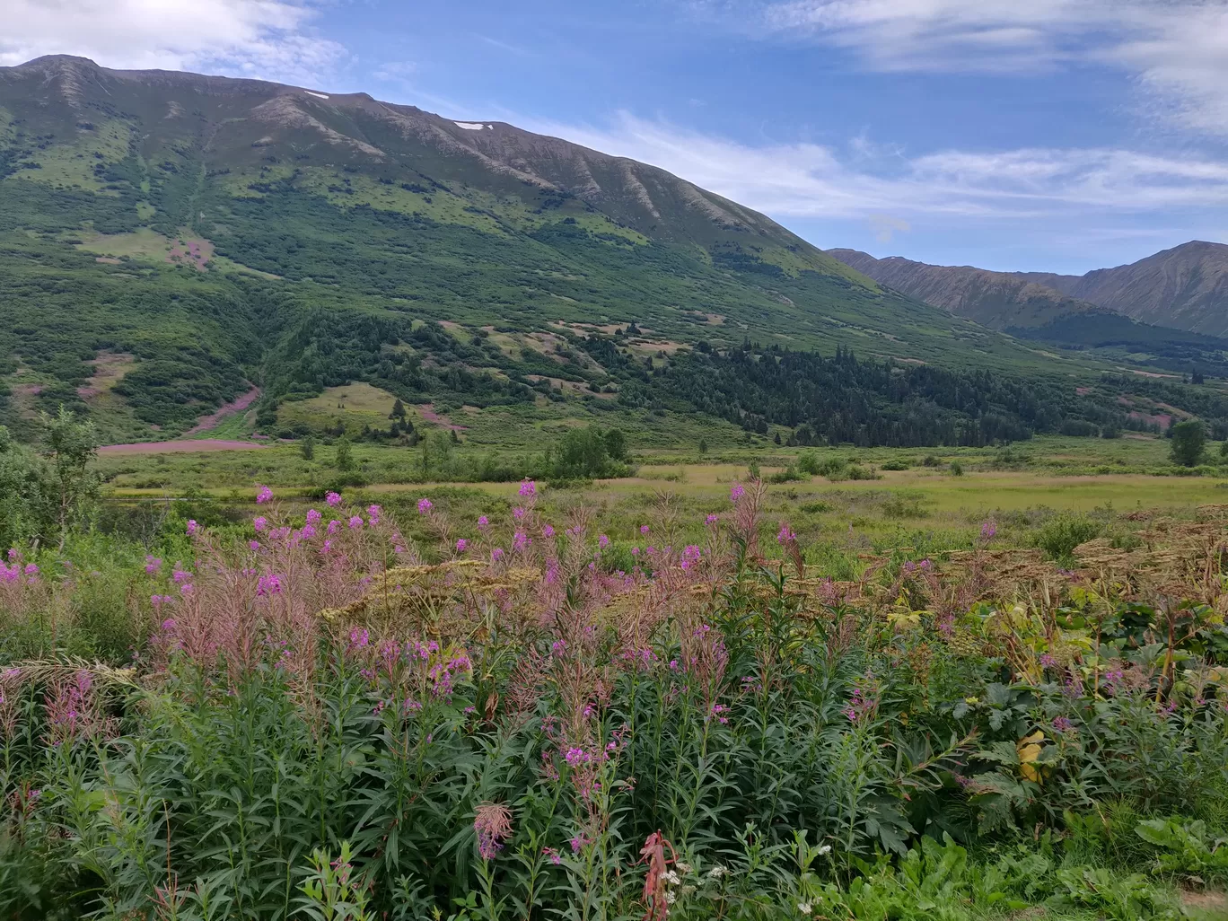 Photo of Seward Highway By Sajan Kedia
