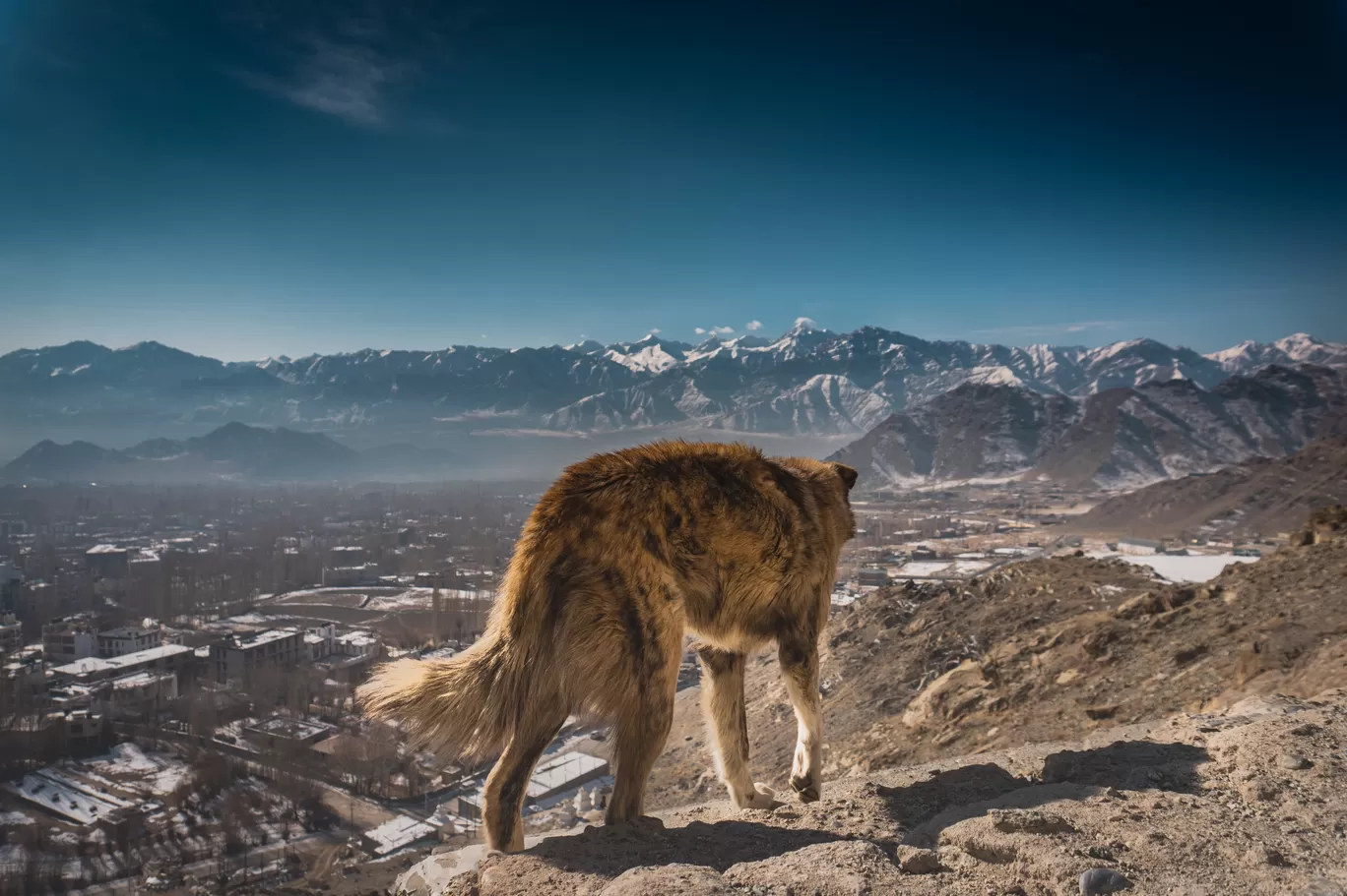 Photo of Ladakh By Imnarki
