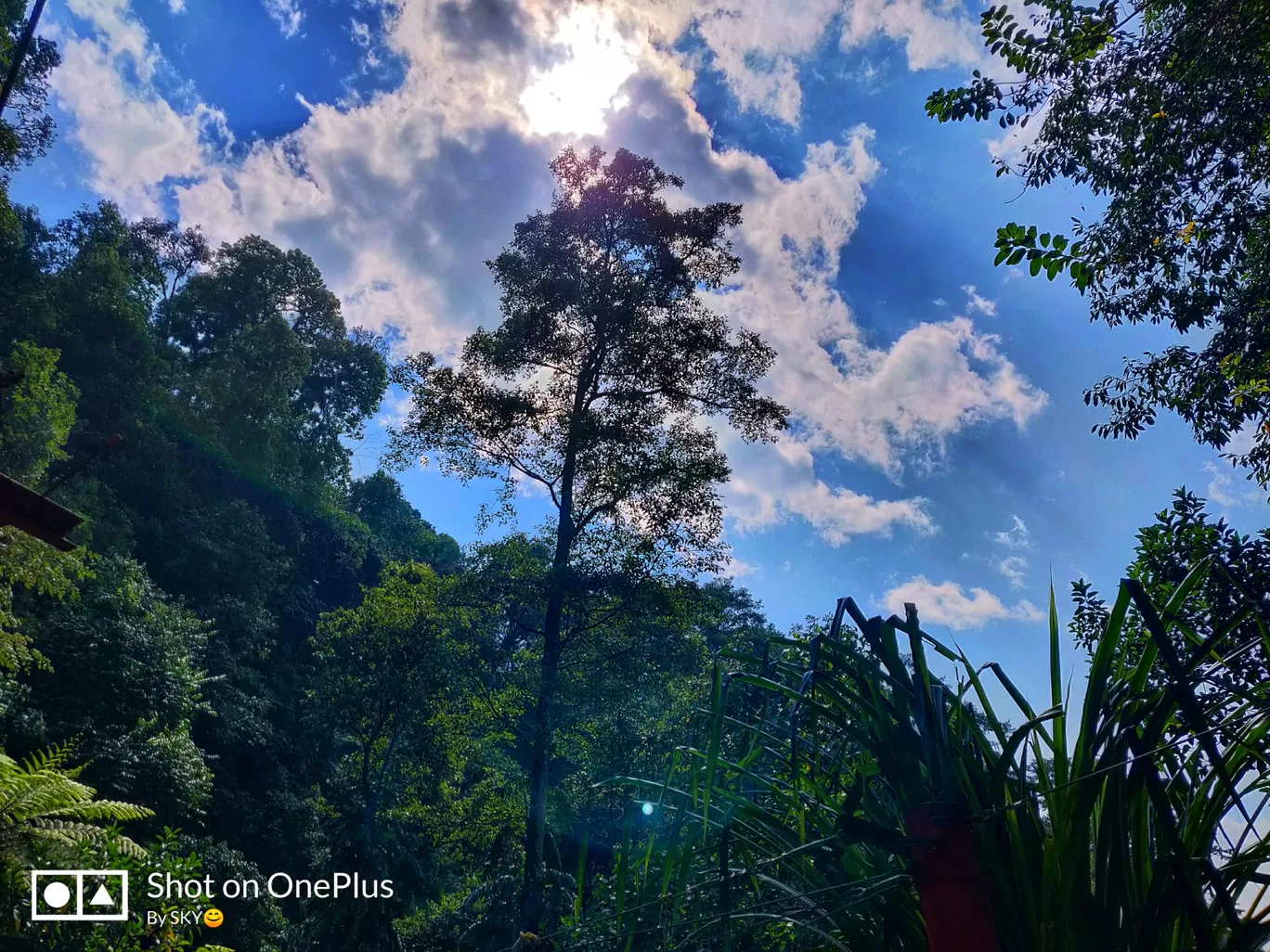 Photo of Sikkim By Akash Anand
