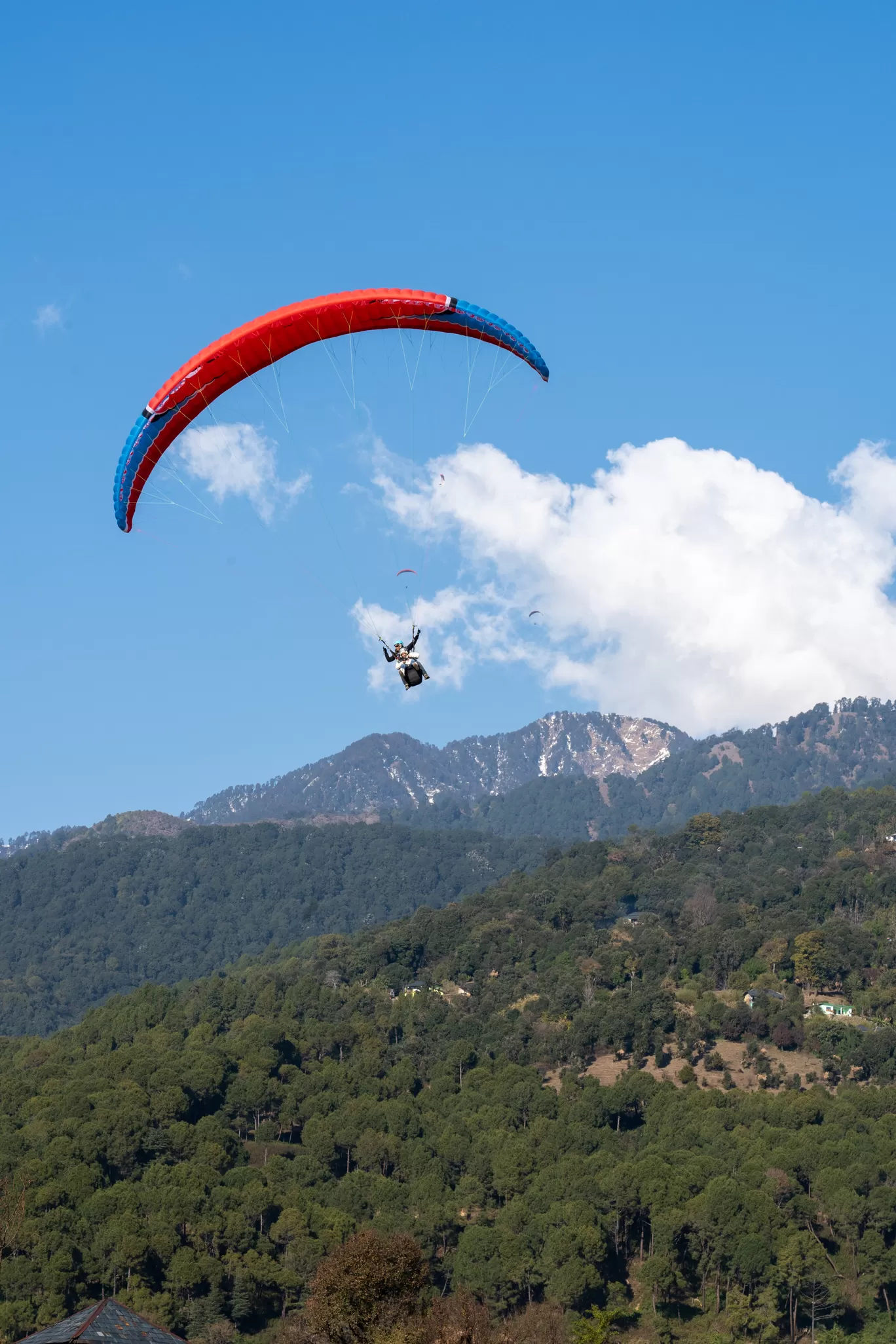 Photo of Bir Billing Paragliding By Sahib Singh Sadana
