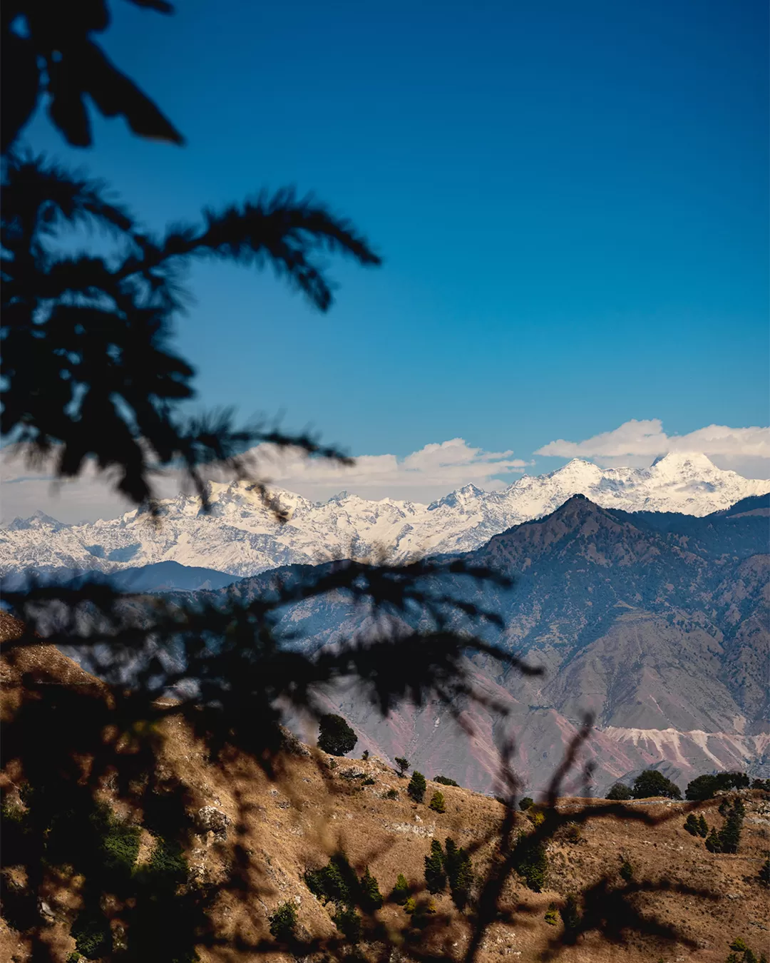 Photo of Bhadraj Temple By Sahib Singh Sadana