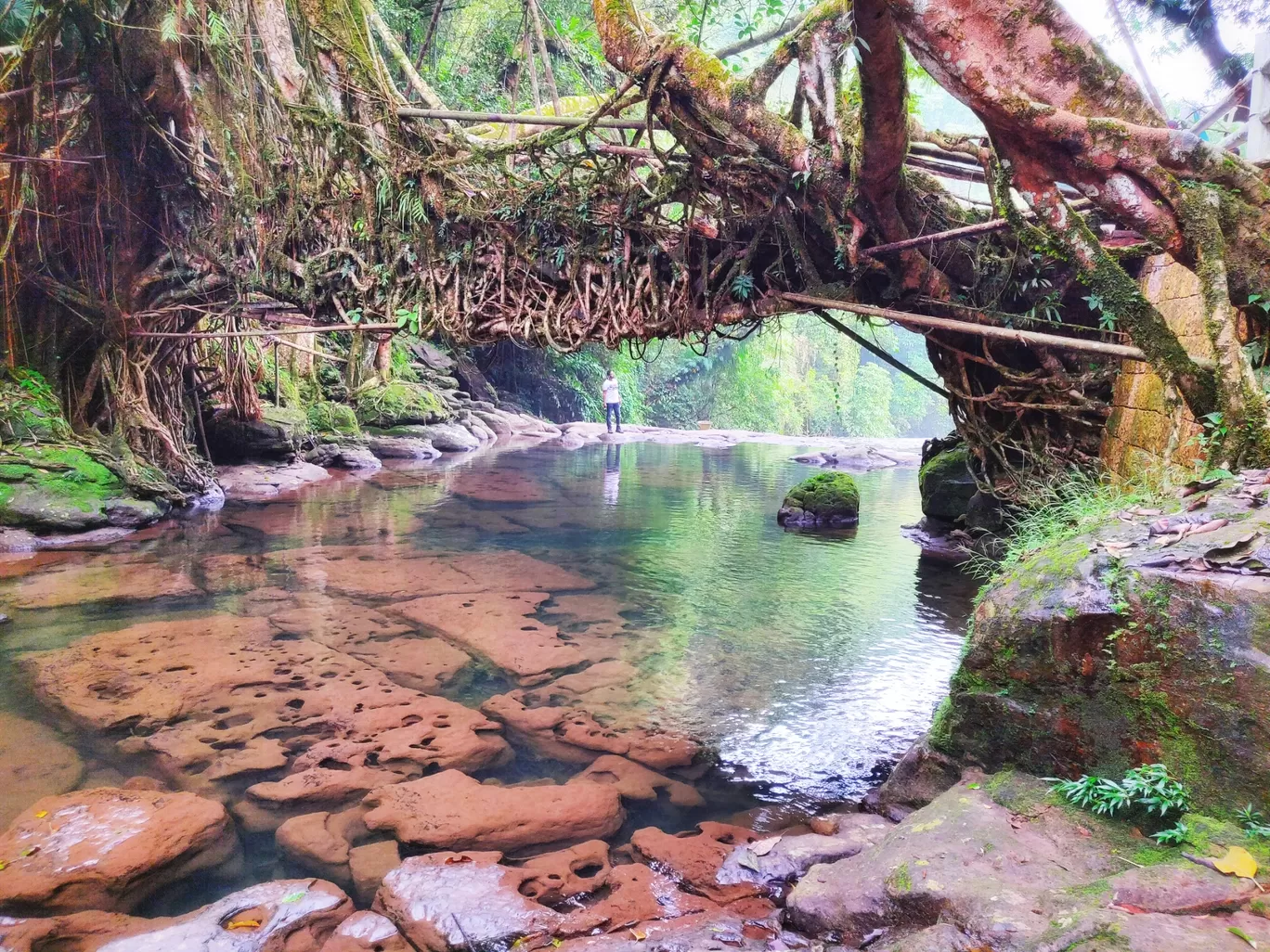 Photo of Mawlynnong By Vaibhav Jagtap