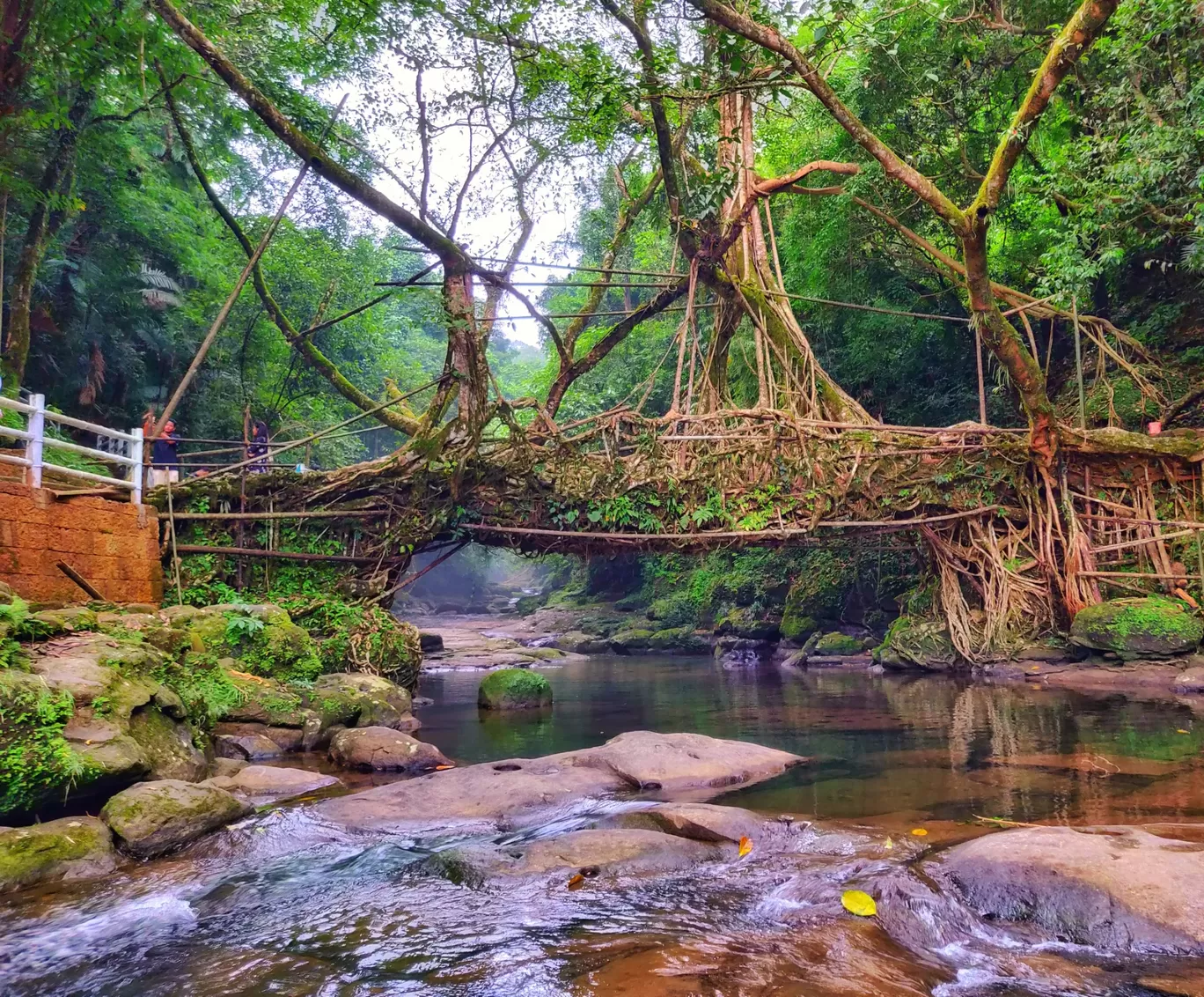 Photo of Mawlynnong By Vaibhav Jagtap