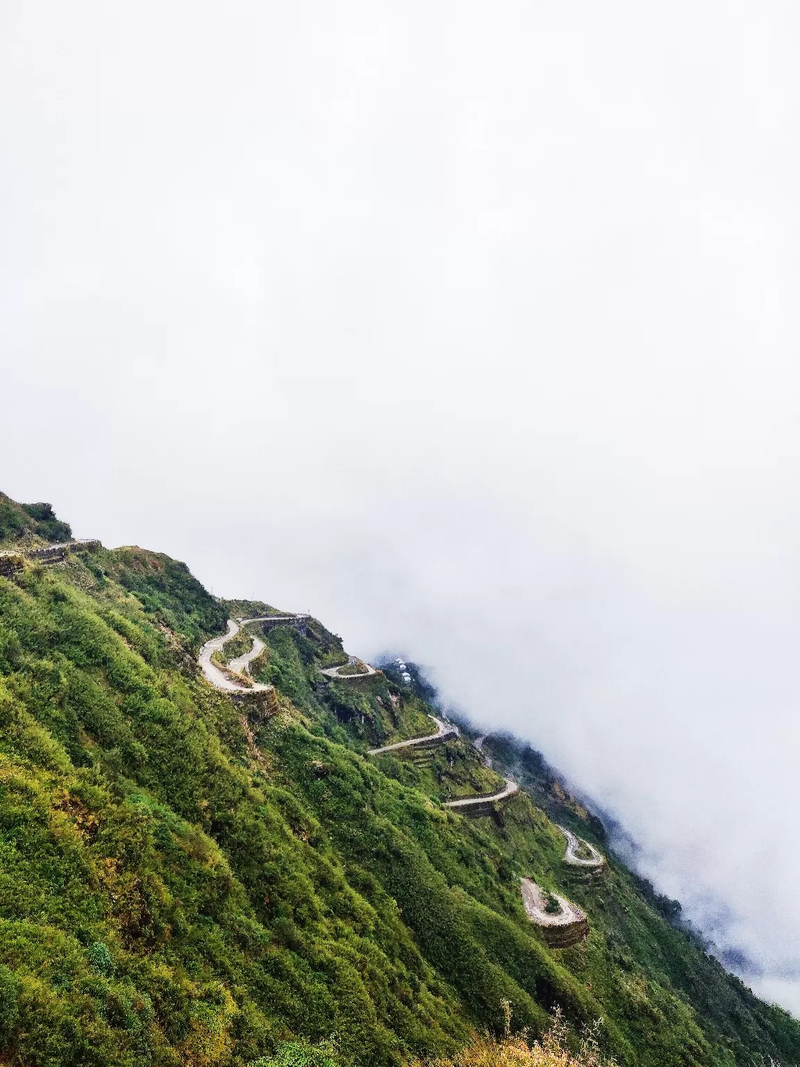 Photo of Zuluk By Vaibhav Jagtap