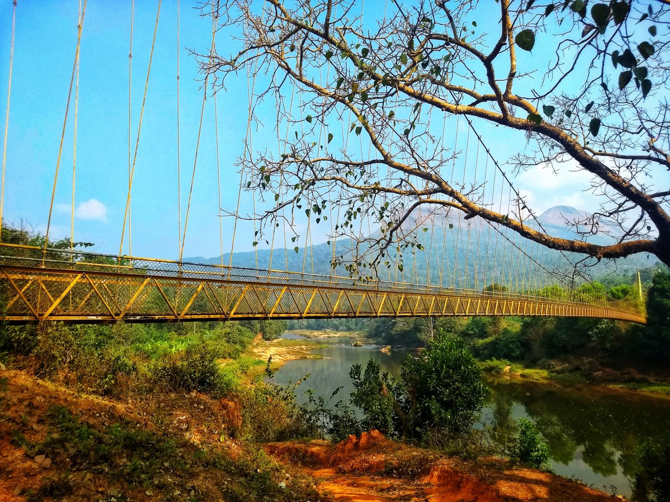 Photo of Hanging Bridge By Vaibhav Jagtap
