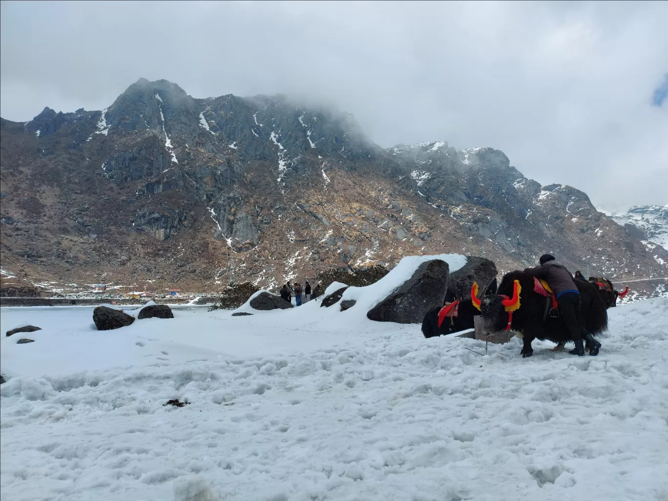 Photo of Sikkim By Subhash Sharma