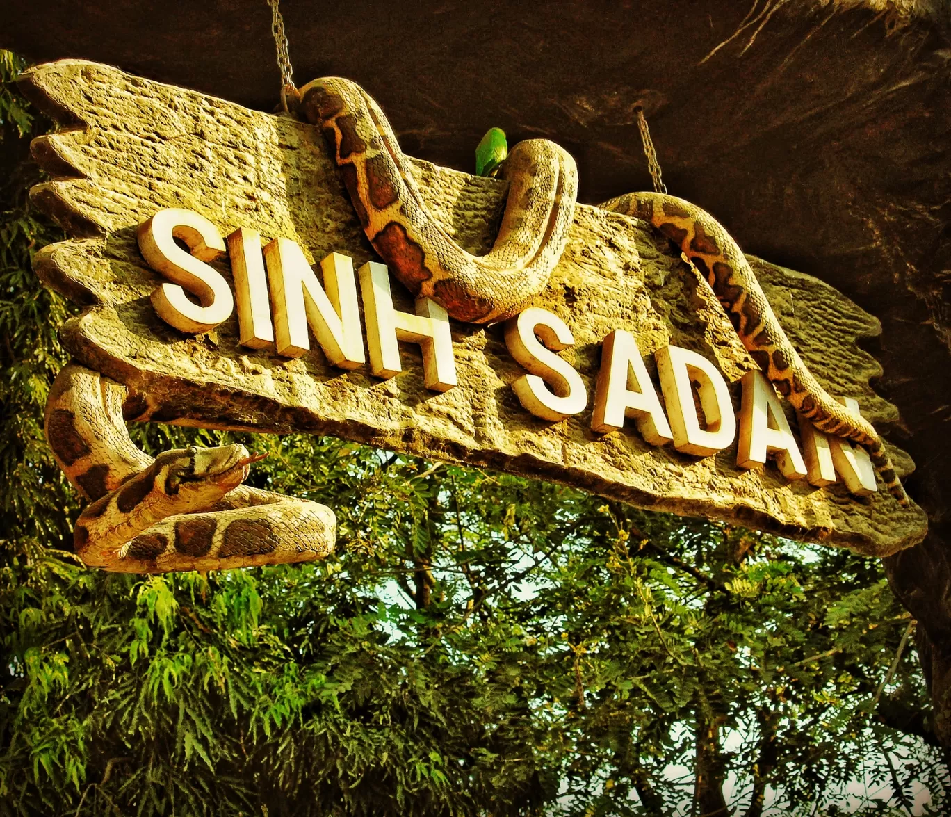 Photo of Sasan Gir By Bhavin Patel