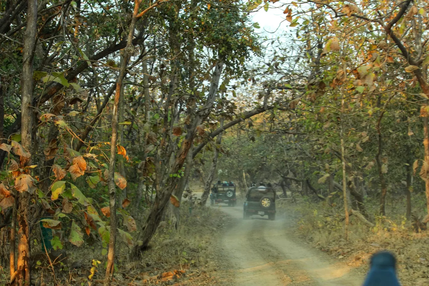 Photo of Sasan Gir By Bhavin Patel
