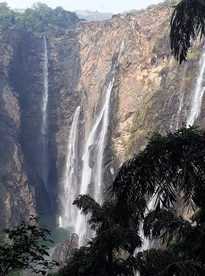 Photo of Jog Falls By Hetal