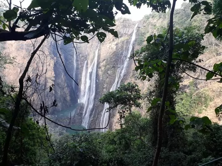 Photo of Jog Falls By Hetal