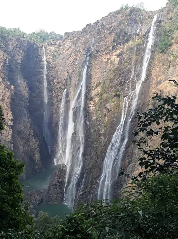 Photo of Jog Falls By Hetal