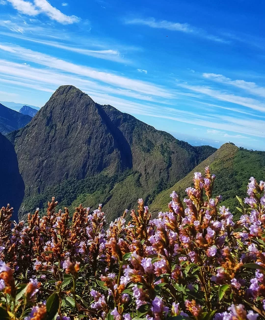 Photo of Kolukkumalai Tea By Amaldas K H