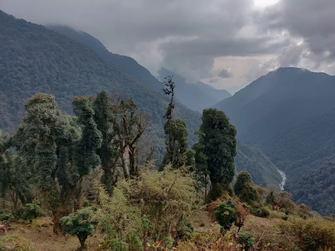 Photo of Goecha La Trek By Rohith 