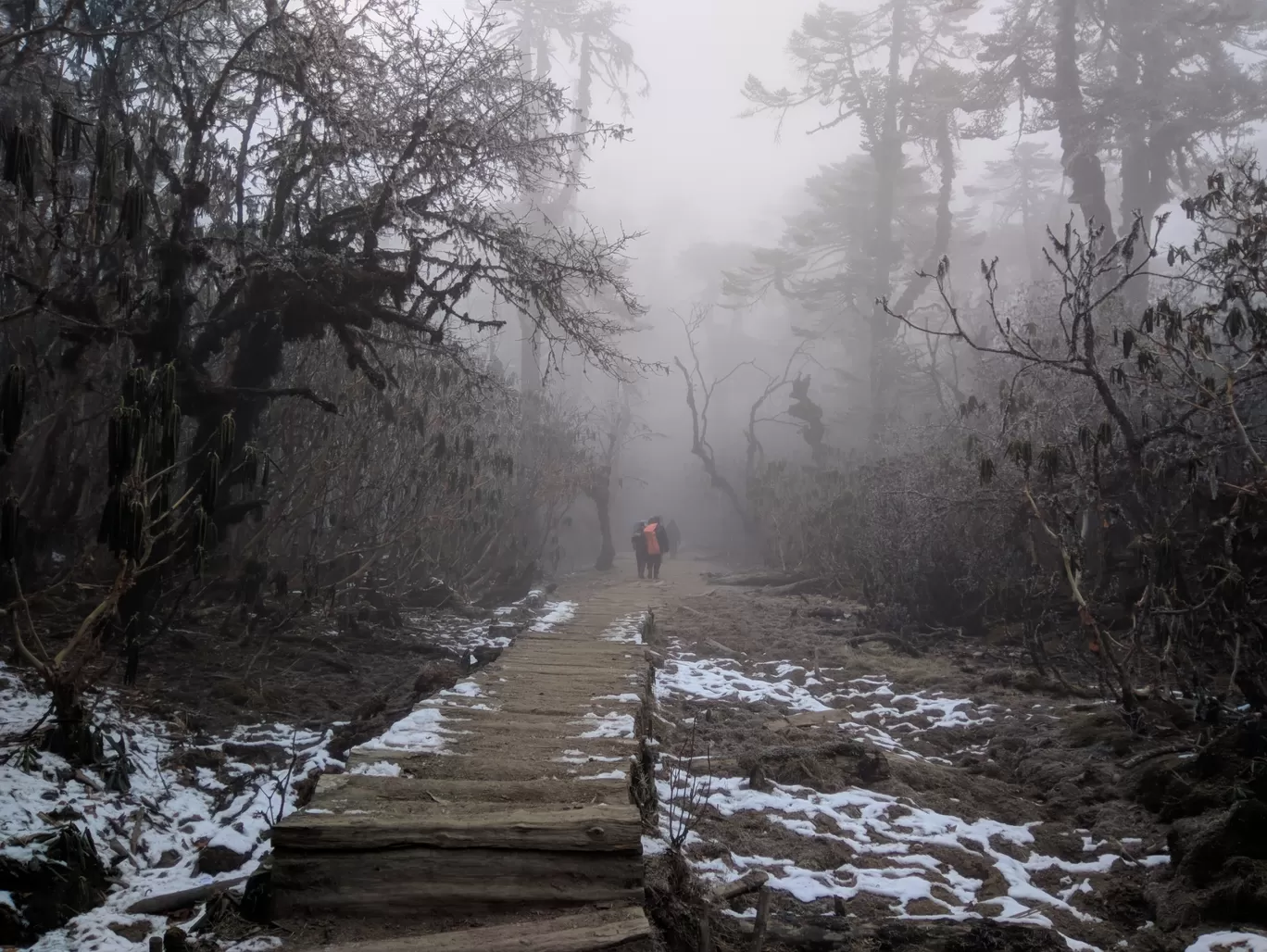 Photo of Goecha La Trek By Rohith 