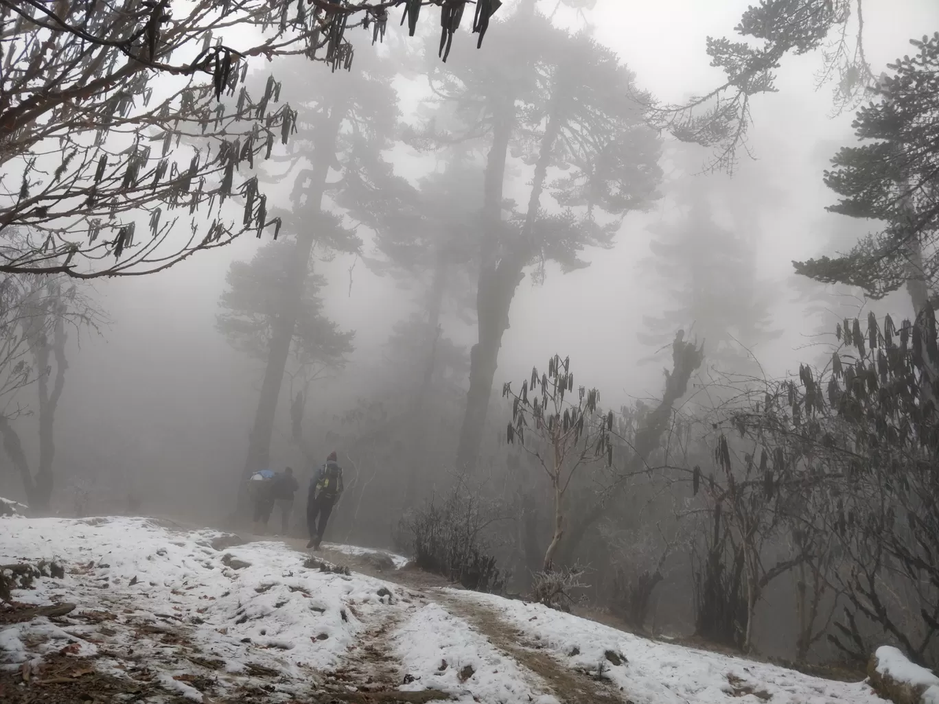 Photo of Goecha La Trek By Rohith 