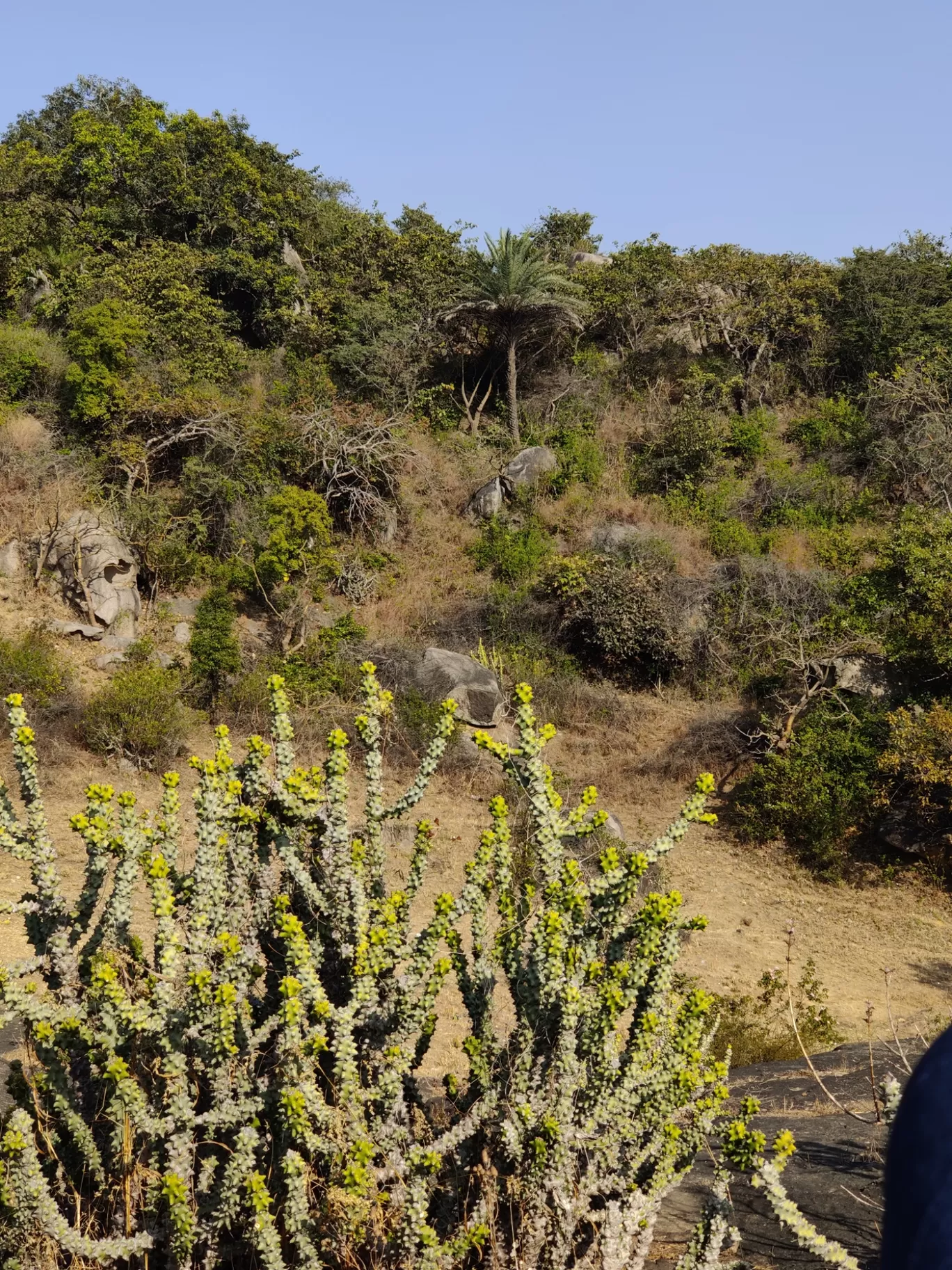 Photo of Mount Abu By Achal Bariya