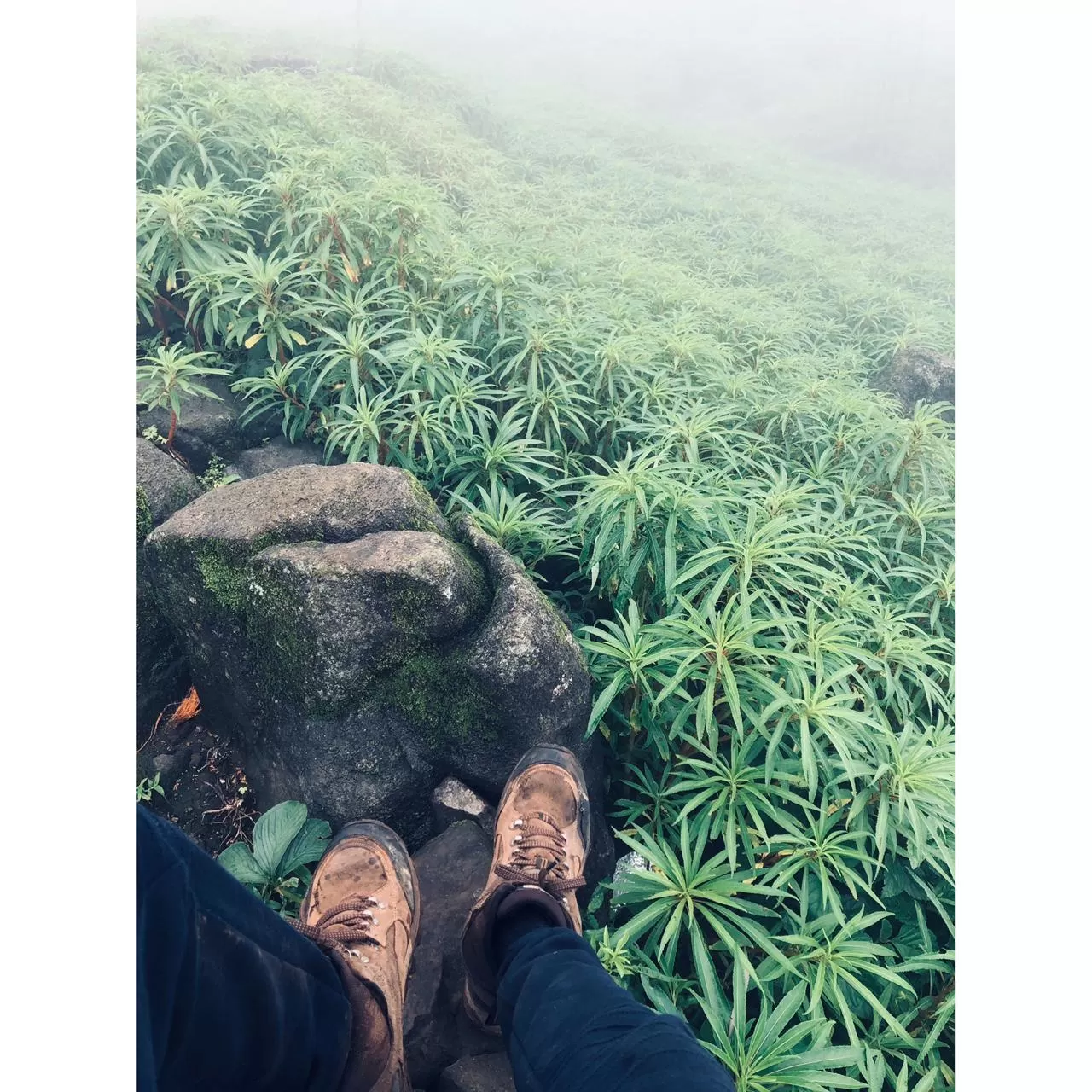 Photo of Kalsubai Trek By Siddharth Jain