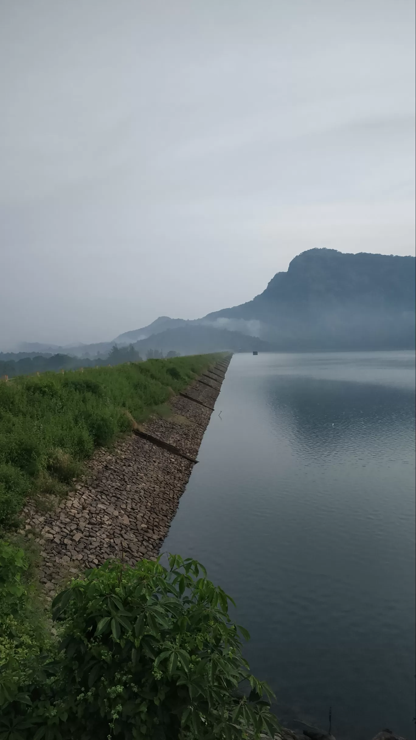 Photo of Nelliyampathy Hill View 1 By george kollanoor