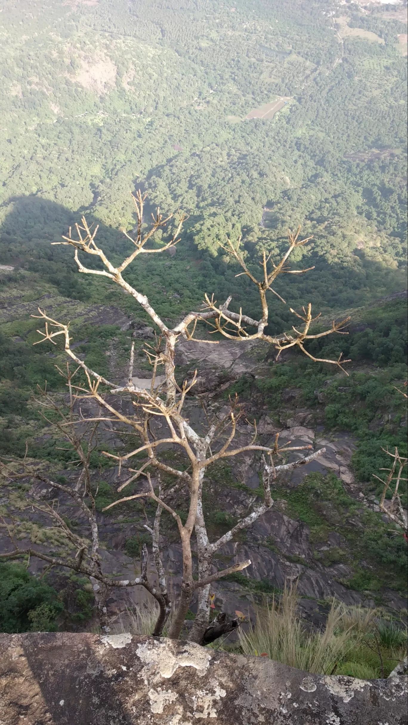 Photo of Nelliyampathy Hill View 1 By george kollanoor