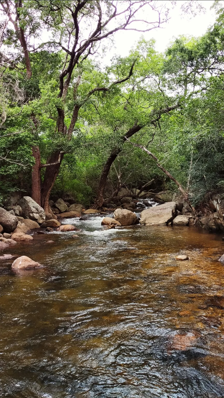 Photo of Kalakkad By george kollanoor