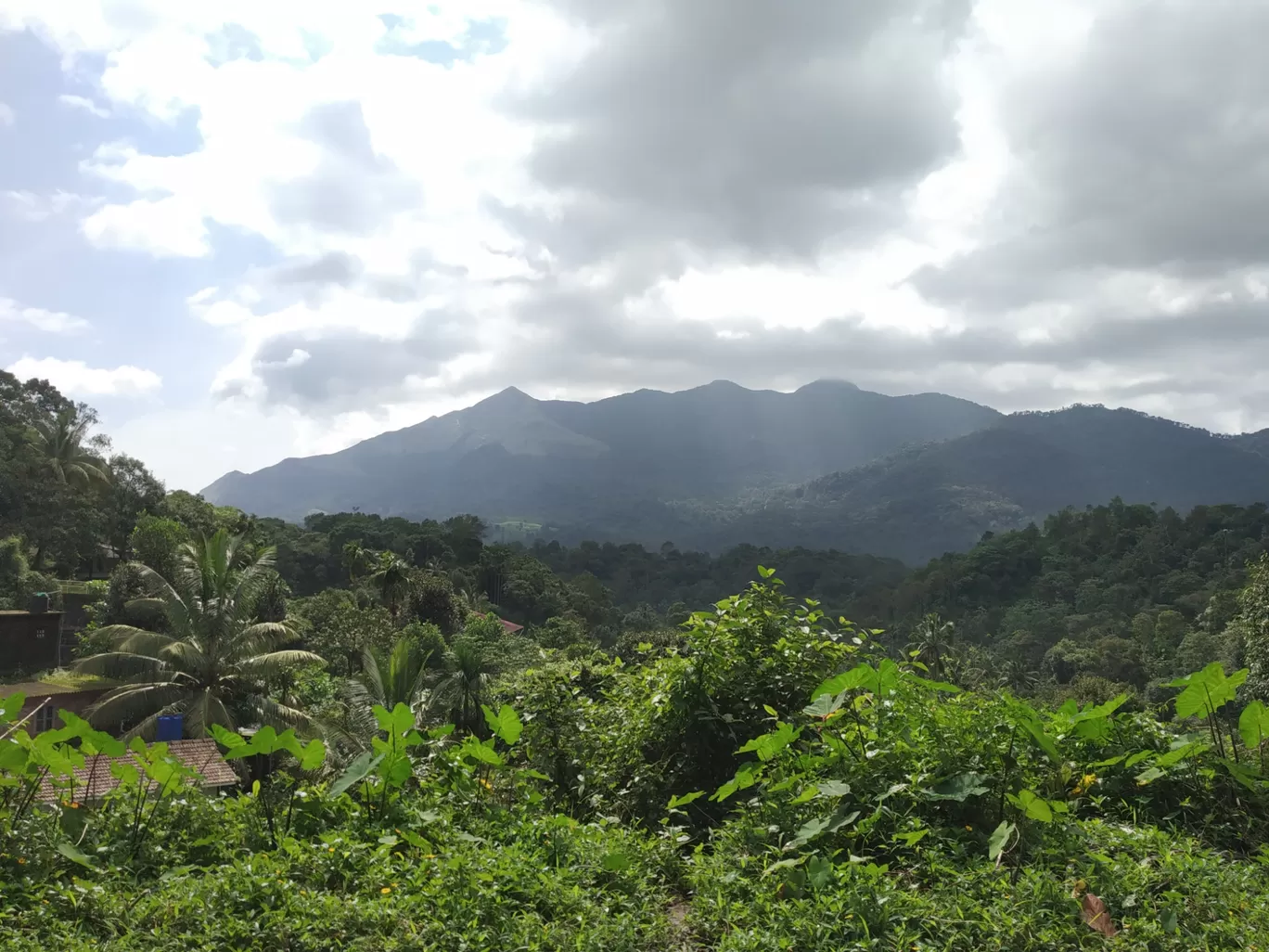 Photo of Wayanad By george kollanoor