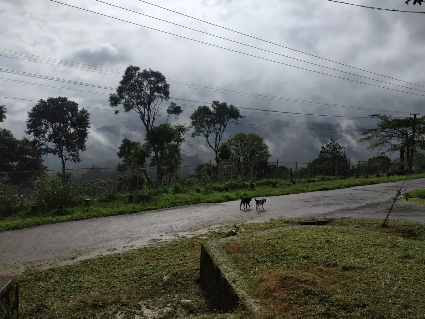 Photo of Wayanad By george kollanoor