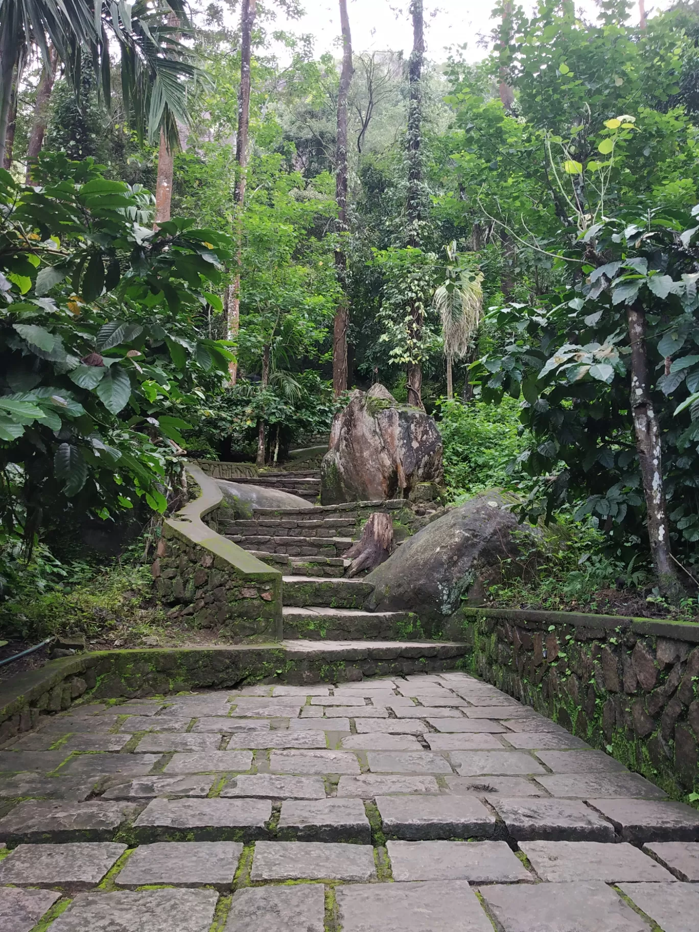Photo of Wayanad By george kollanoor