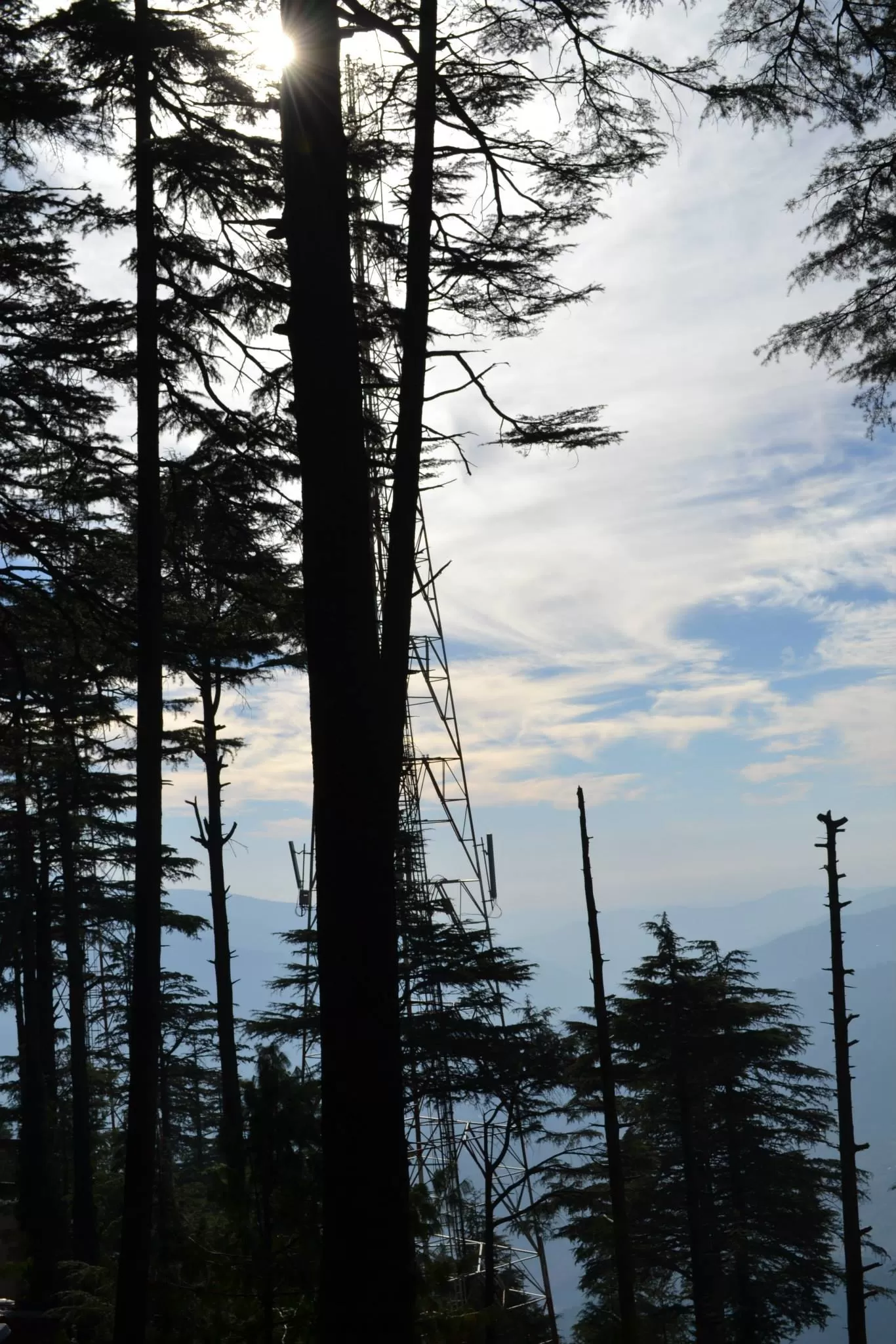 Photo of Patnitop By Asmita Sarkar
