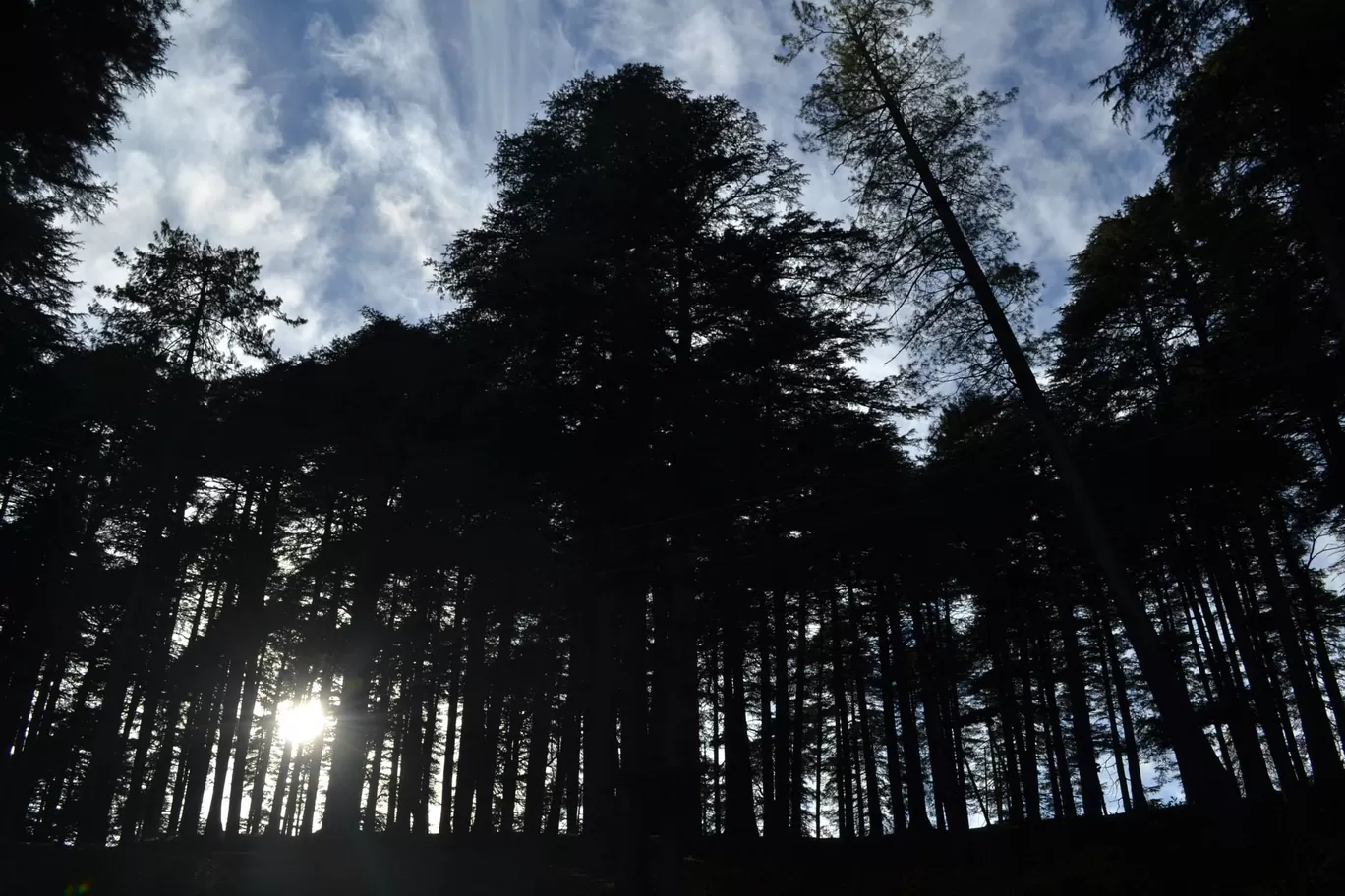 Photo of Patnitop By Asmita Sarkar