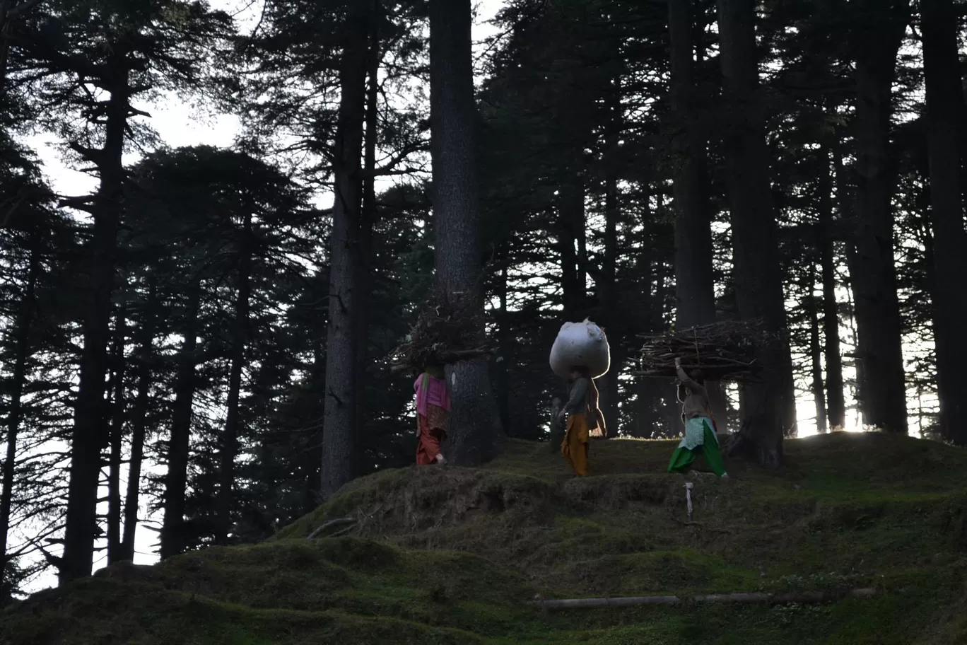 Photo of Patnitop By Asmita Sarkar