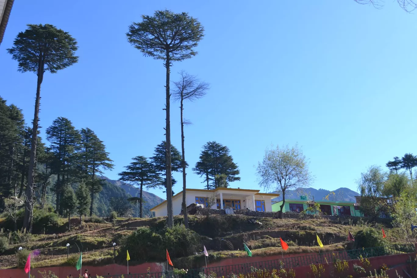 Photo of Patnitop By Asmita Sarkar