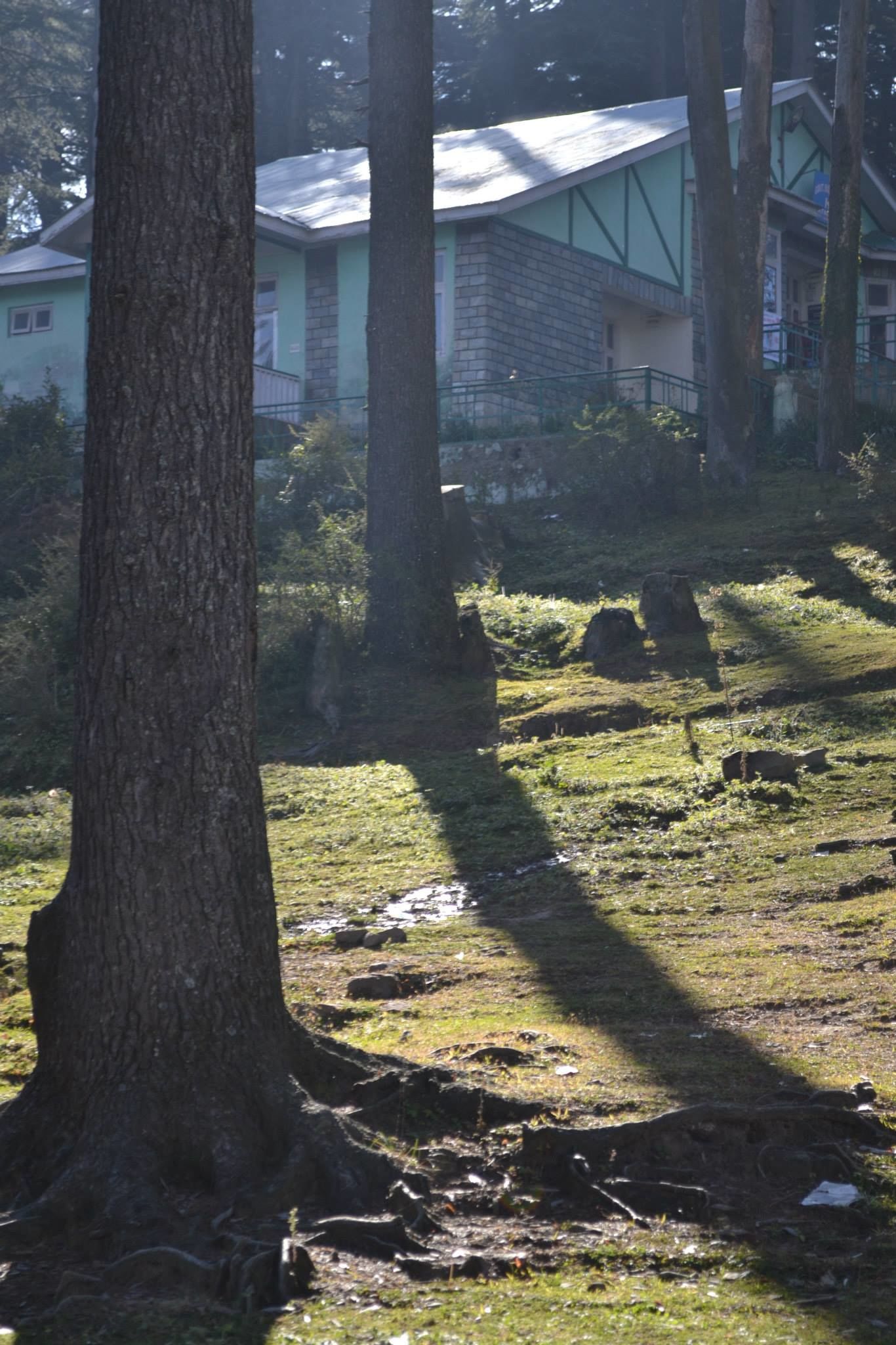 Photo of Trouper Travels By Asmita Sarkar