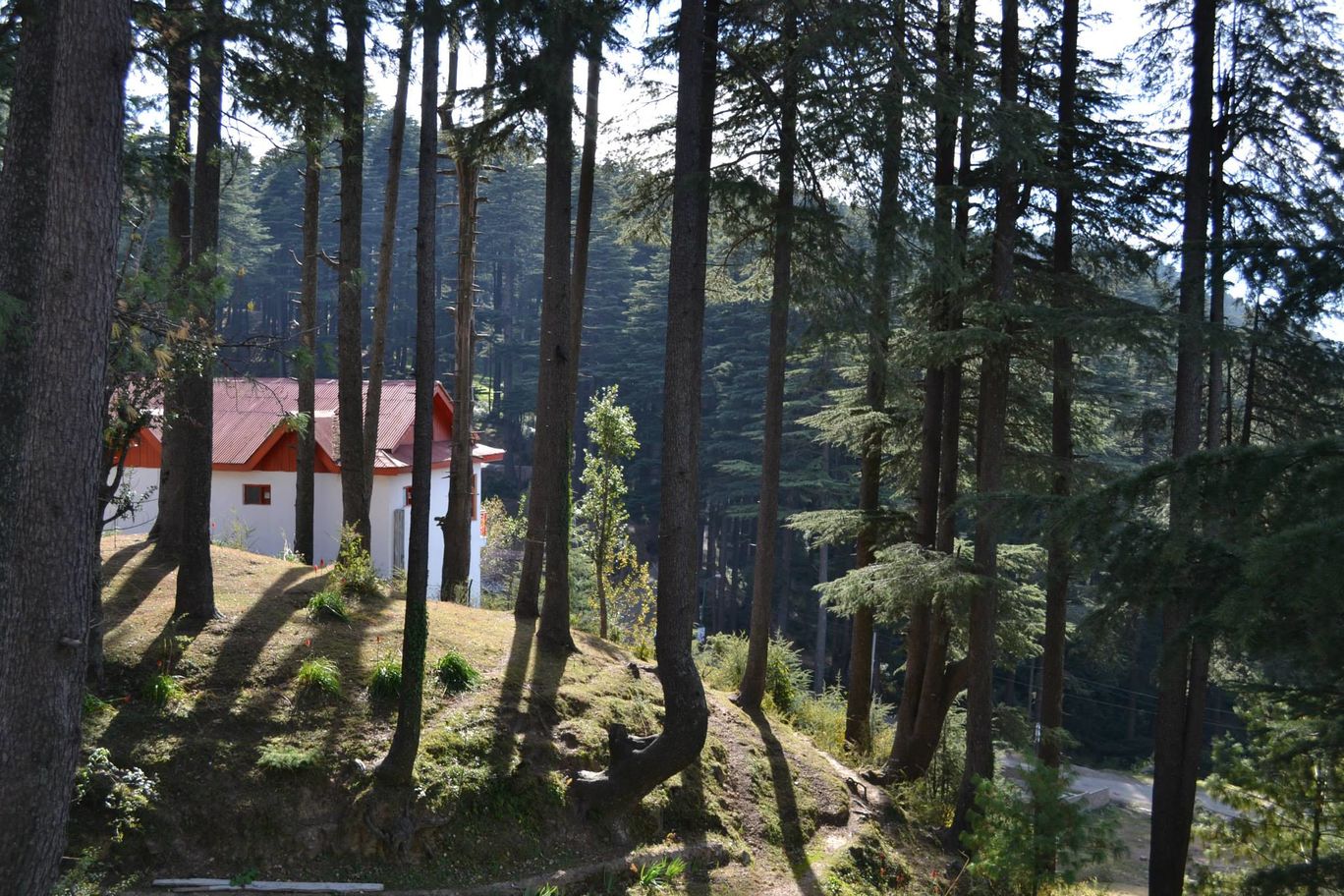 Photo of Trouper Travels By Asmita Sarkar