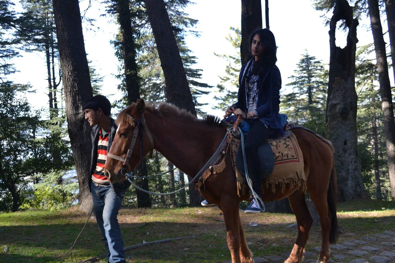 Photo of Trouper Travels By Asmita Sarkar