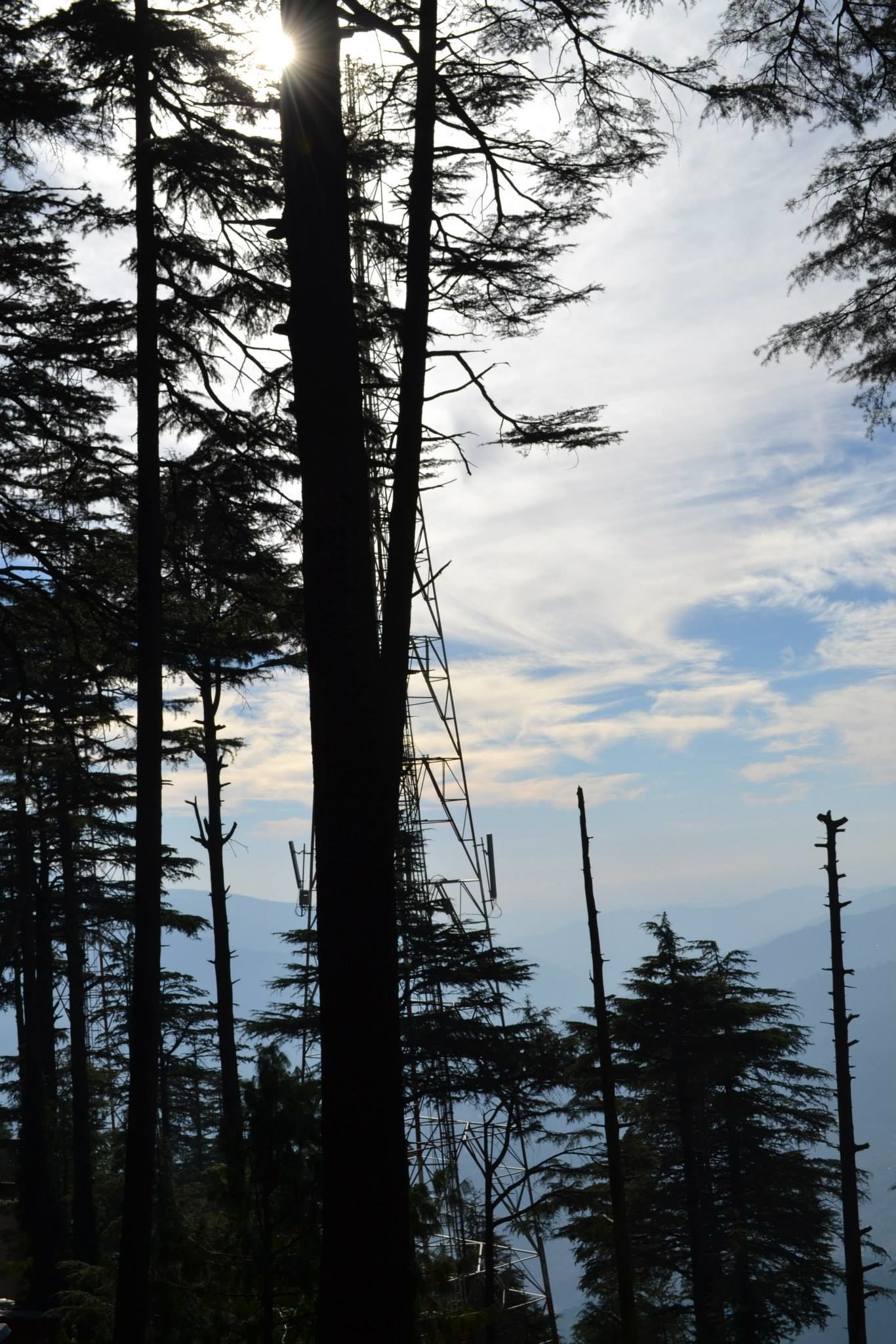 Photo of Trouper Travels By Asmita Sarkar